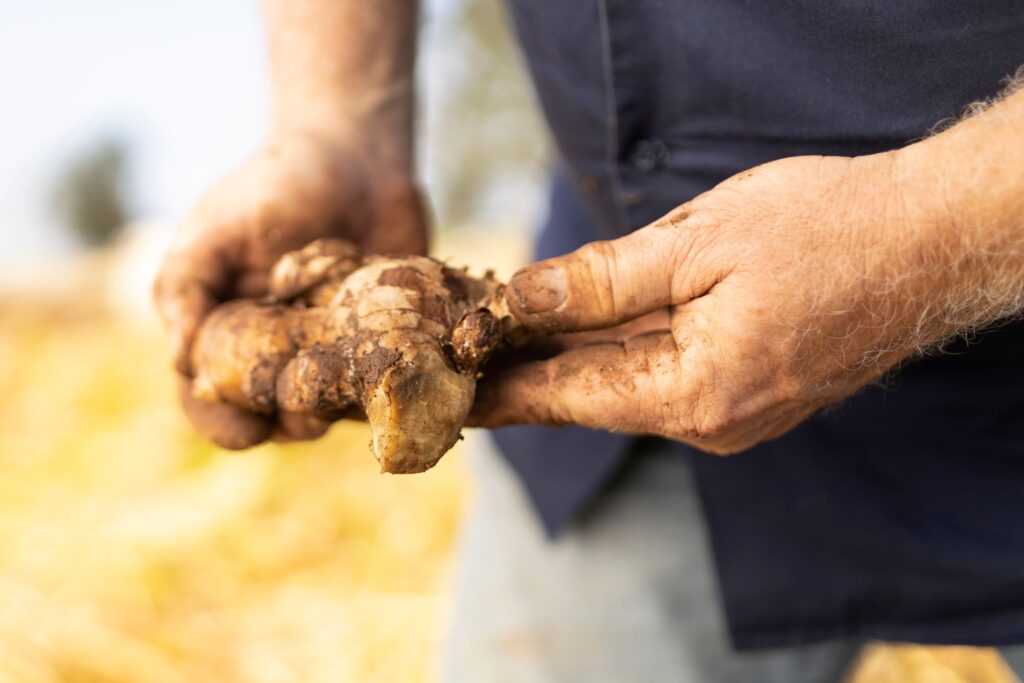 man holding a piece of ginger