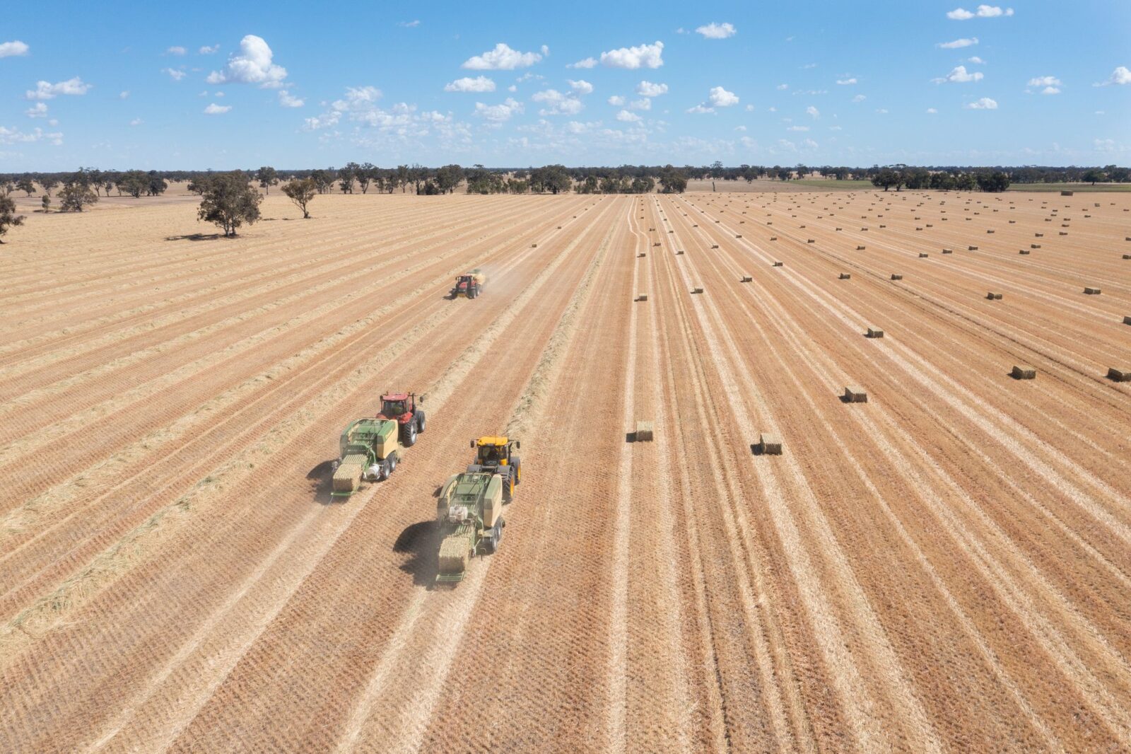 export hay being cut and bailed on farm