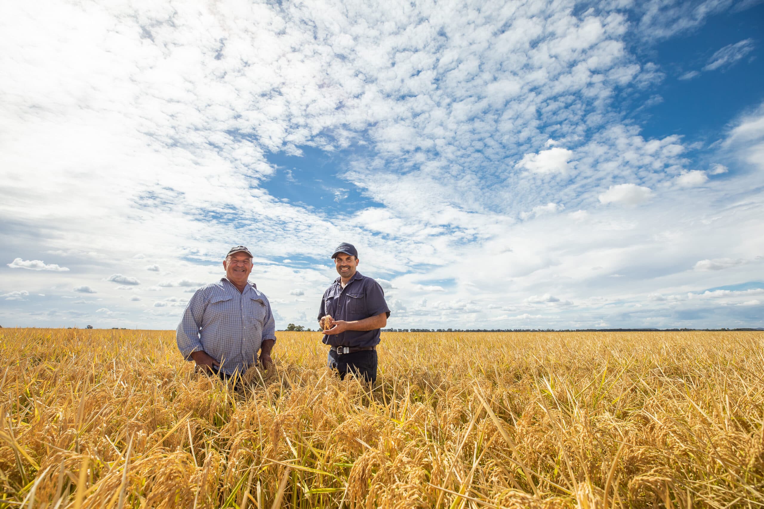 Two men standing in rice field